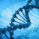 DNA-genes-242x181