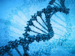 DNA-genes-242x181