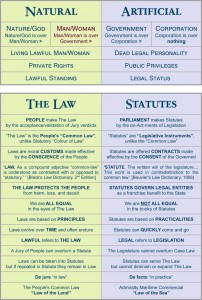 the-law-vs-statutes
