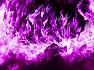 7-violet-purple-flames-tm-1-500_orig